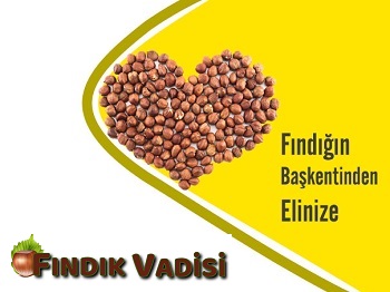 Reklam